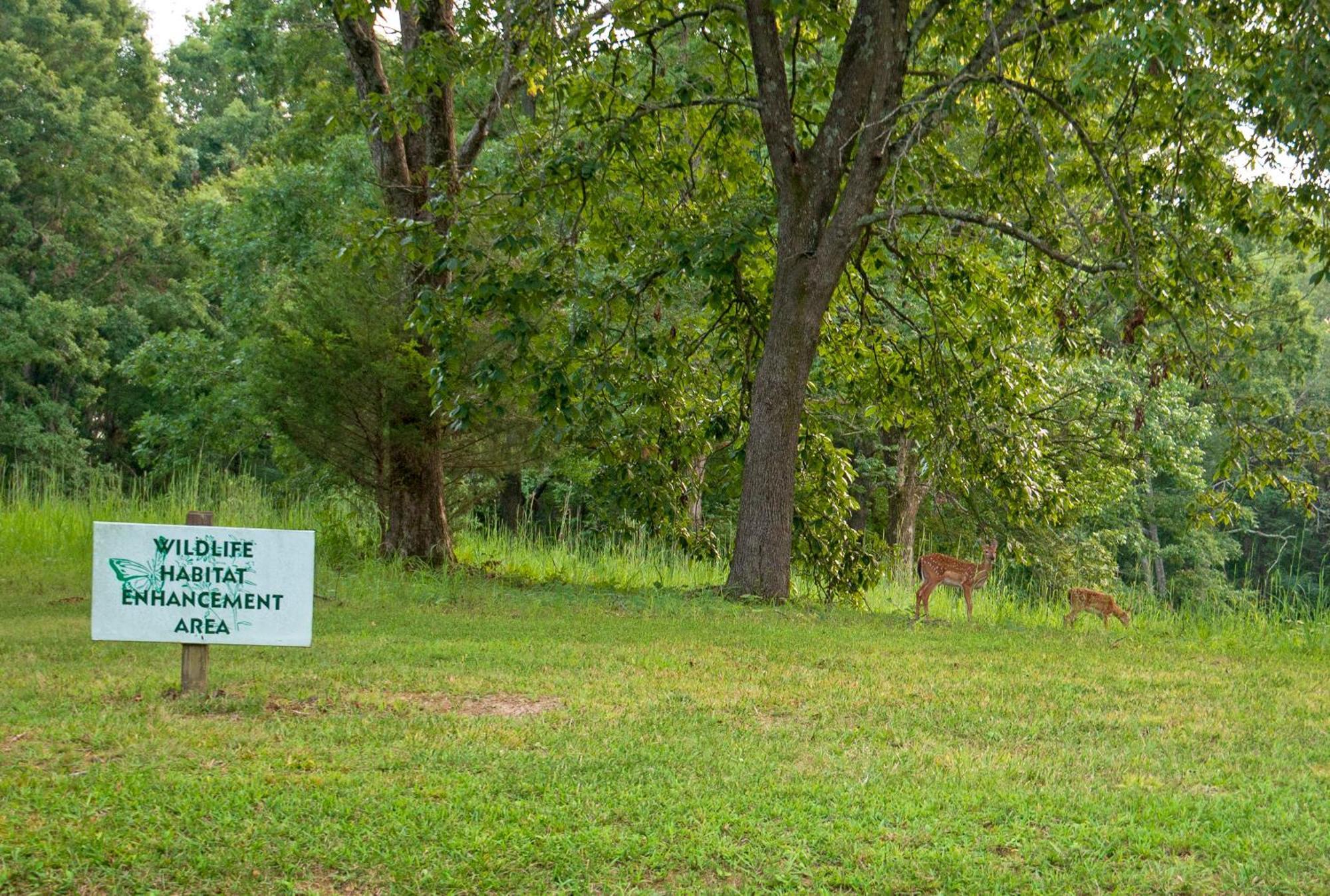 Barren River Lake State Resort Park Lucas Bagian luar foto